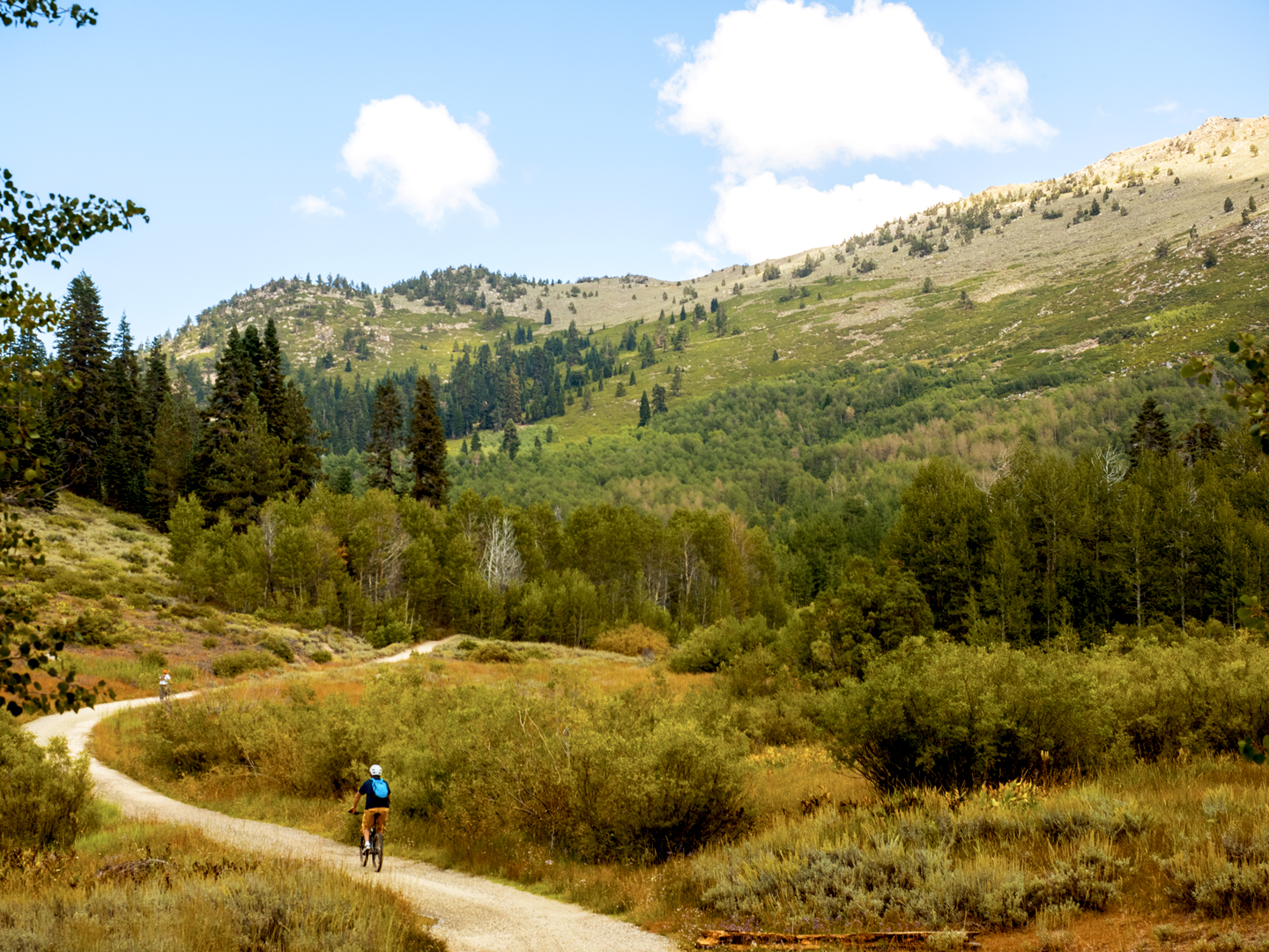 flume trail fall colors mountain biking a singletrack mind