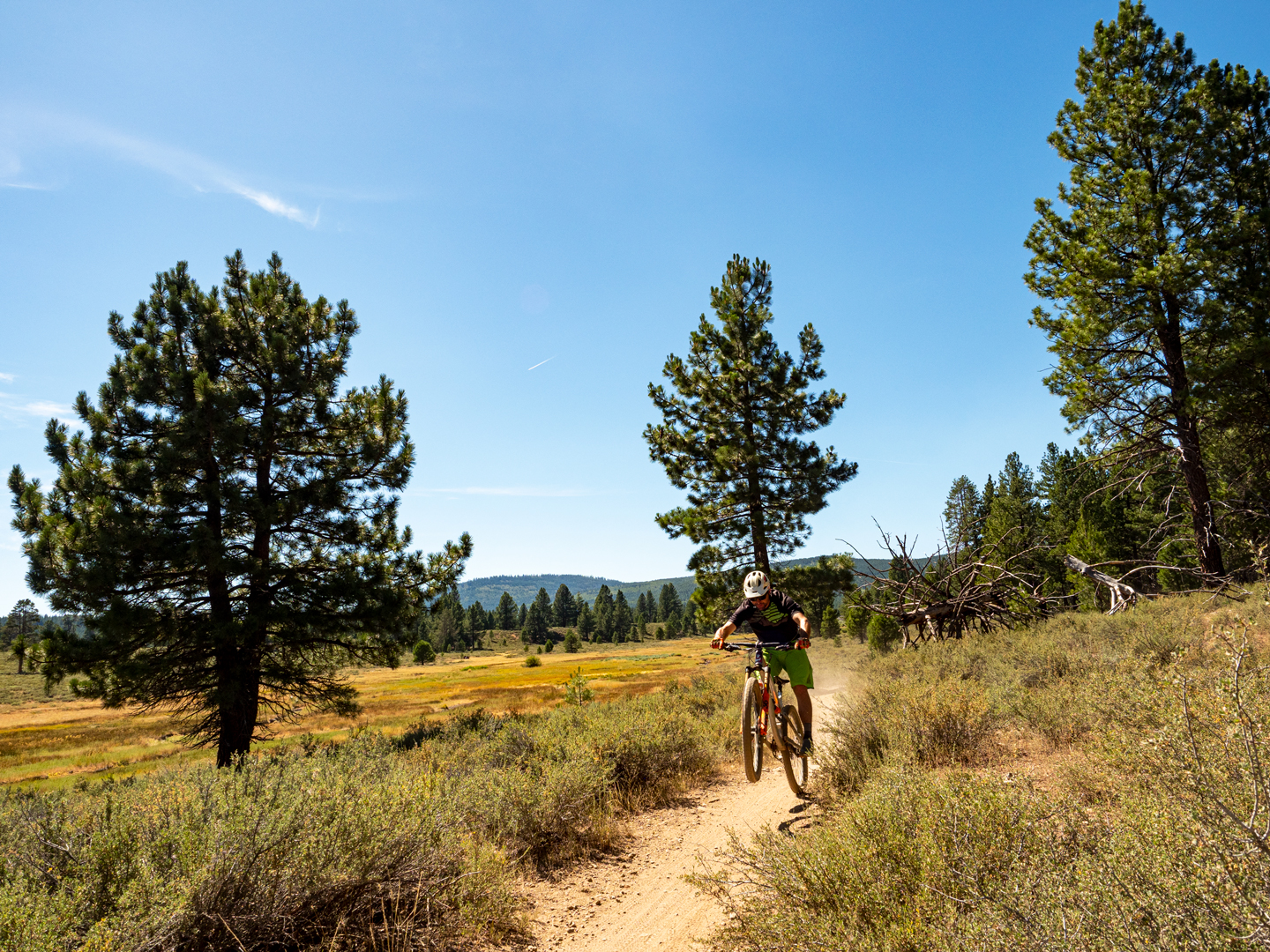 Best Fall Mountain Bike Trails In Tahoe