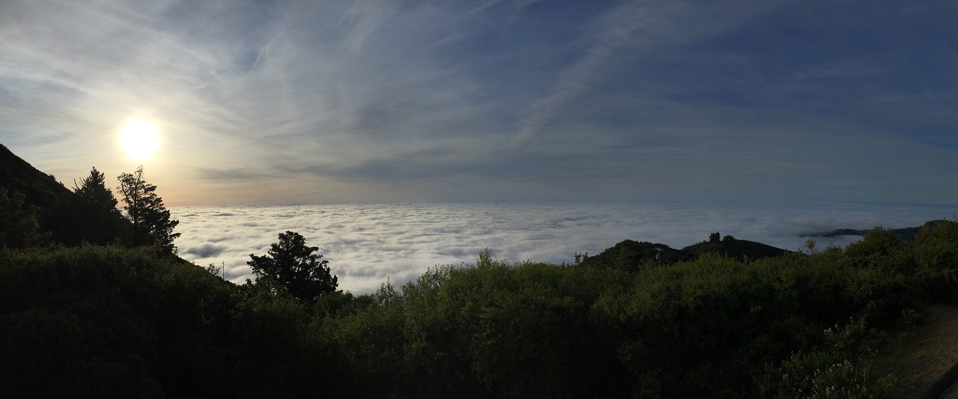 Best Bay Area Mountain Biking Trails Above the fog Mount Tamalpais 