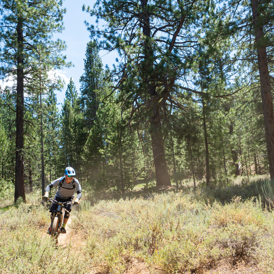 mountain biking in Truckee California