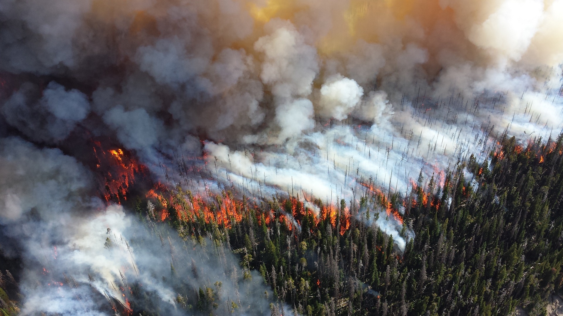 aerial shot of forest fire and how to deal with air pollution cycling