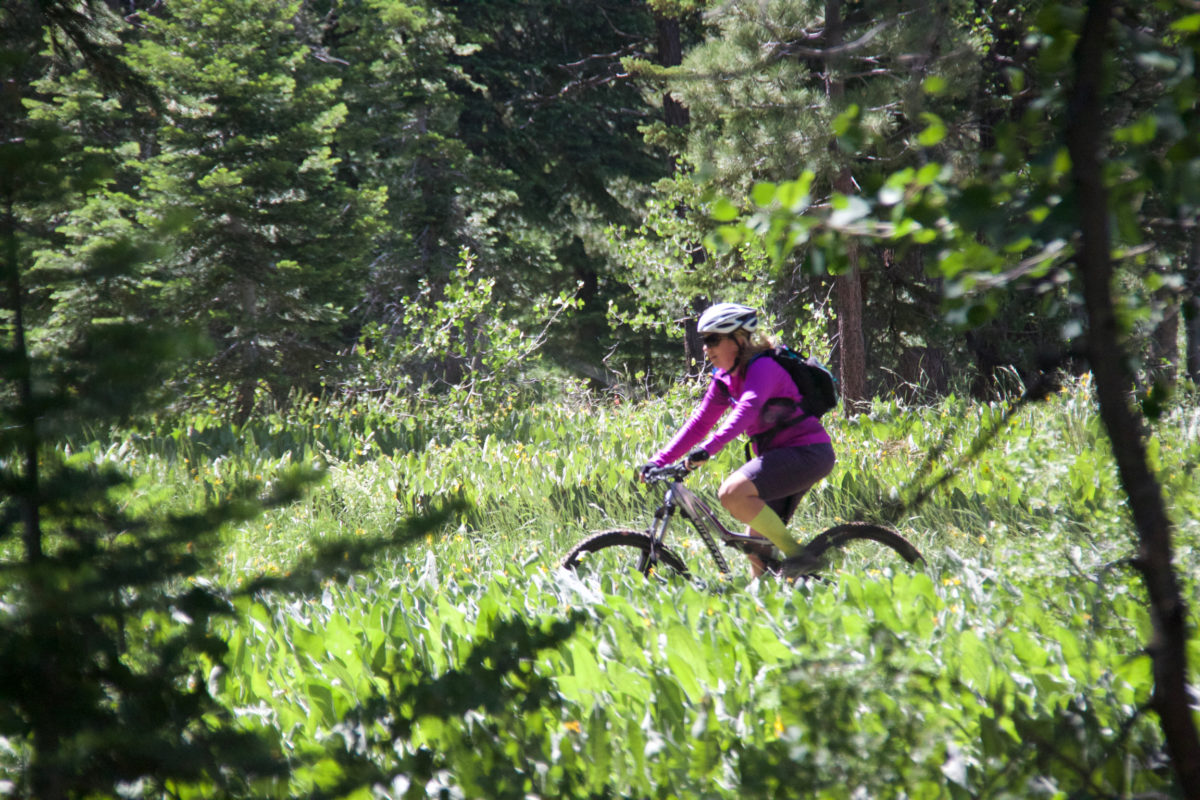 girl mountain biking in Truckee through Meadow