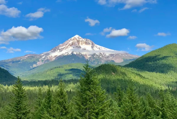 Summer views of Mt Hood