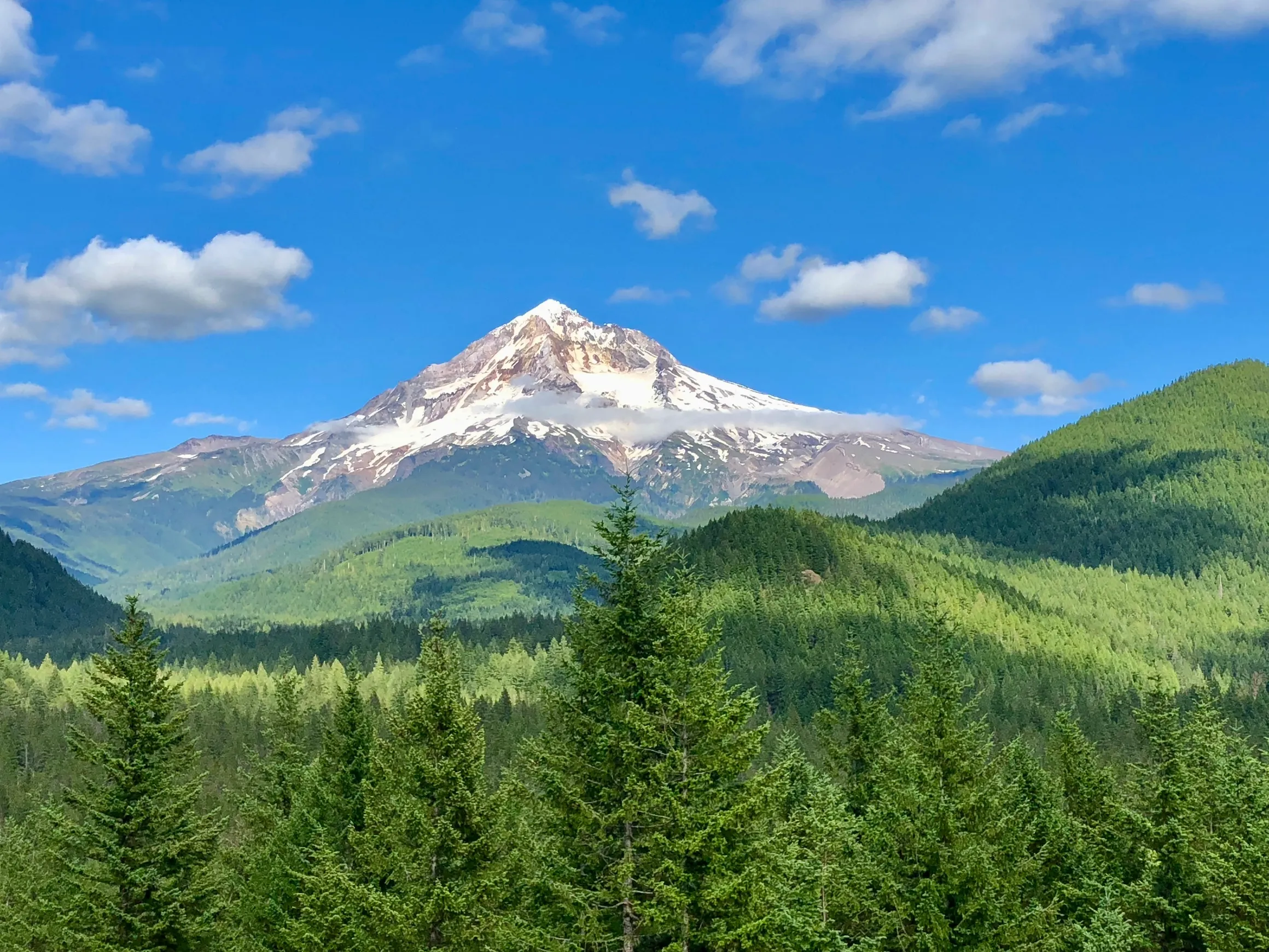 Hood River MTB Clinic and Other Summer Getaway Clinics