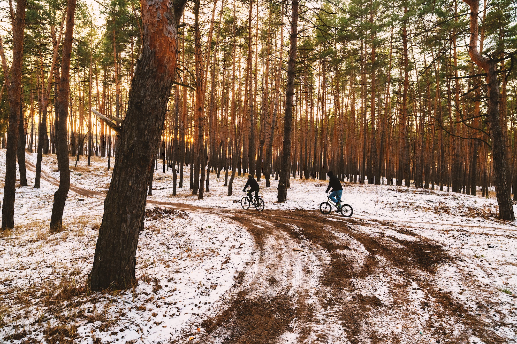 When Winter Hits Snooze, Time to MTB!